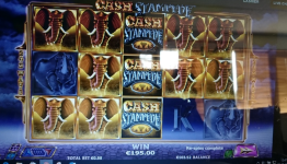 Cash stampede 2.jpg.png