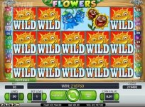 flowers.jpg