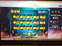 The_Wishmaster_2_10_02_2017.jpg