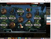 doubke wild line JP.png.jpg