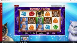 prettykitty4.jpg