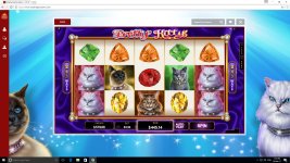 prettykitty6.jpg