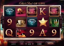 The Finer Reels of Life 189x.jpg
