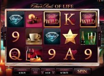The Finer Reels of Life 449x.jpg