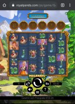 133x Royal Panda.jpg