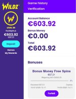 accountbalanceWildz.jpg