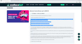 Welcome Casino Bonus Offer _ Wallacebet - Google Chrome 06.08.2020 16.08.58.png