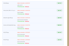 Screen Shot 2020-11-14 at 3.31.56 AM.png