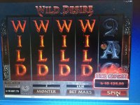 Wild desire.jpg