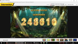jungle spirit interwetten bear 24.05.17, 4144x.JPG