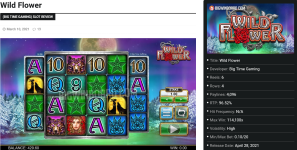 wf1.png