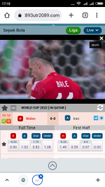 Screenshot_2022-11-25-17-18-09-732_com.android.chrome.png