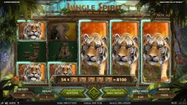 jungle spirit.jpg