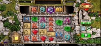 bonanza-568x.jpg