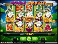 wonkywabbits_415x.jpg