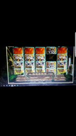 Screenshot_20171030-195410.png.jpg