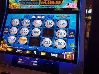 IMG-20171029-WA0003.jpg
