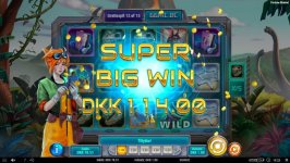 Fortune Rewind 270x hit 3.jpg