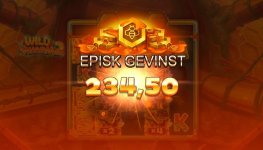 Wild Swarm II 581 x total.jpg