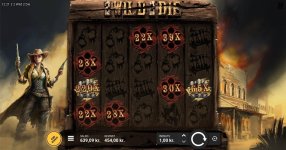 2 Wild 2 Die 454x.jpg