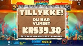 Big Bass FMB 1078x.jpg