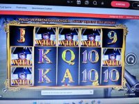 wildline napoleon.jpg