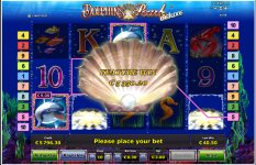 Dolphins Pearl Deluxe BIGGEST WIN EVER!.PNG.jpg