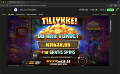 Skærmbillede 2026-03-04 kl. 22.22.57.png