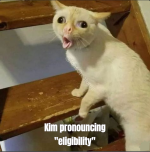 KimStar.png