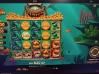 IMG_20260604_205532.jpg