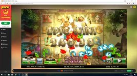 White Rabbit 240x.jpg White Rabbit 240x.jpg