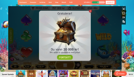 Skärmavbild 2018-07-18 kl. 18.16.13.png