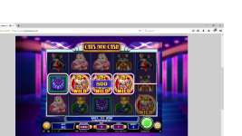 200X cats&cash.png
