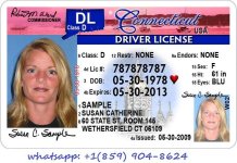 connecticut Driver License buy online.jpg