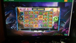 57154485_291991925073426_3375517984515686400_n (1).jpg