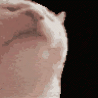 MatesBorec