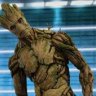 groot007_