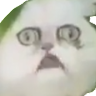 Povfill