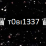 t0bi1337
