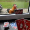 pokerallday