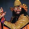The Macho Man